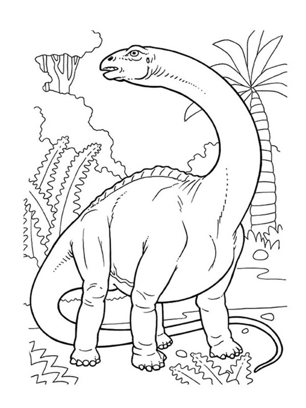 brontosaurus omalovánka