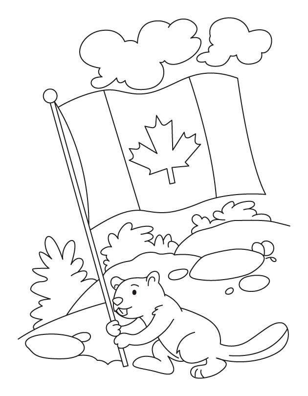 Bobr drží kanadskou vlajku omalovánka