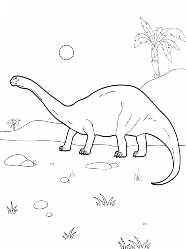 Dinisaurus Diplodocus omalovánka Dinisaurus Diplodocus omalovánka