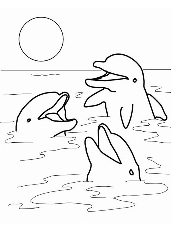 Delfíni v moři omalovánka