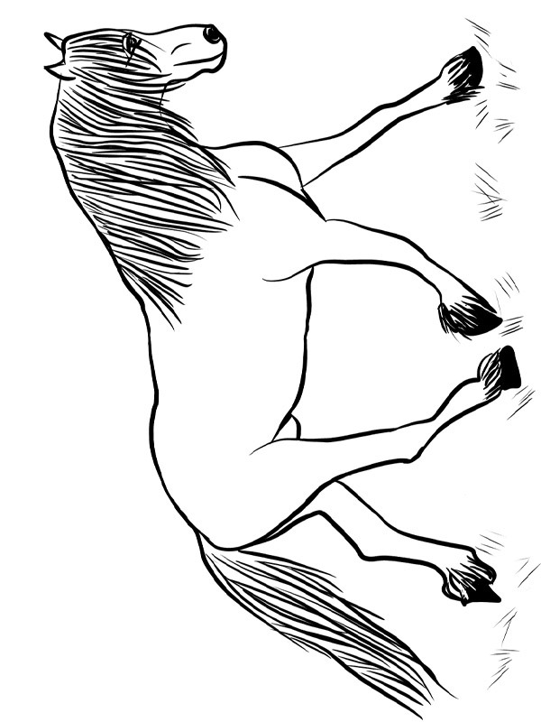 Fríský kůň omalovánka