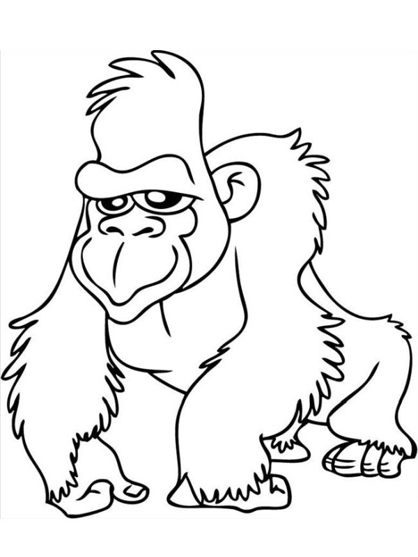 Gorila omalovánka