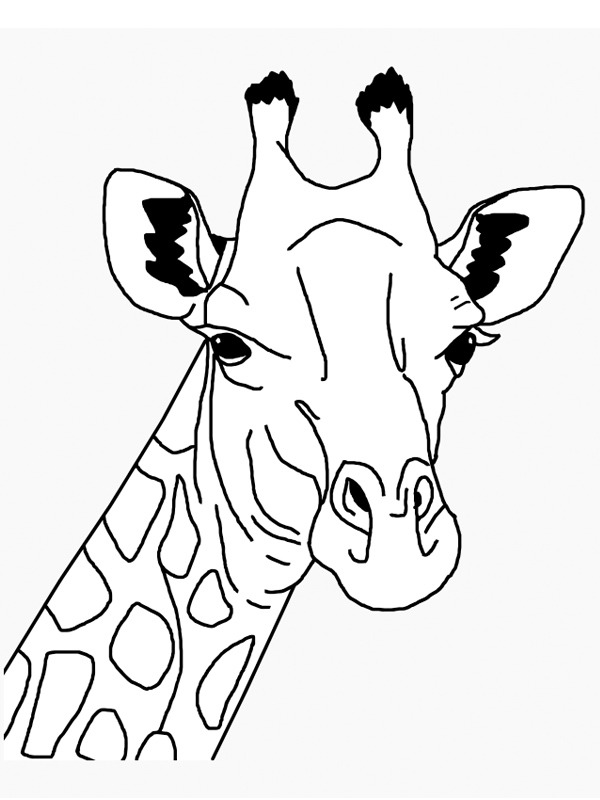 Hlava žirafa omalovánka
