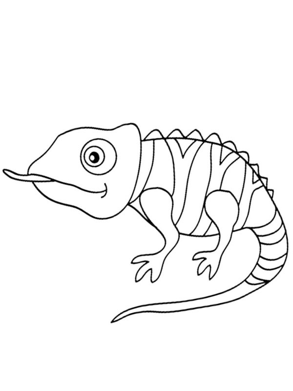Chameleon vyplazuje jazyk omalovánka Chameleon vyplazuje jazyk omalovánka