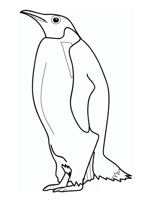 Tučňák císařský omalovánka