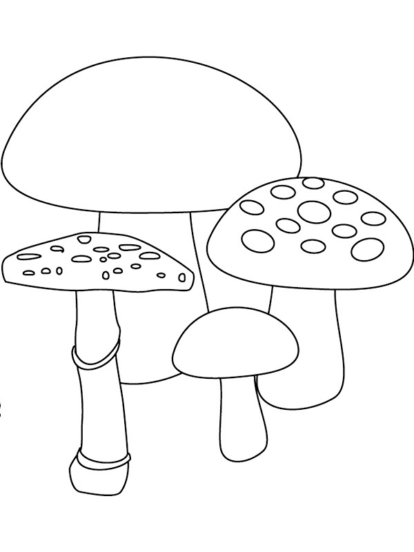 4 houby omalovánka
