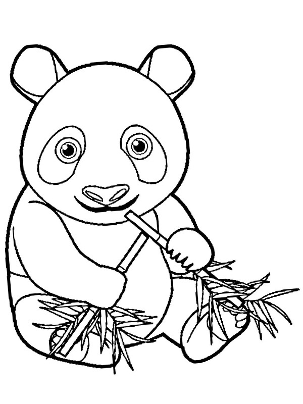 Panda jí bambus omalovánka