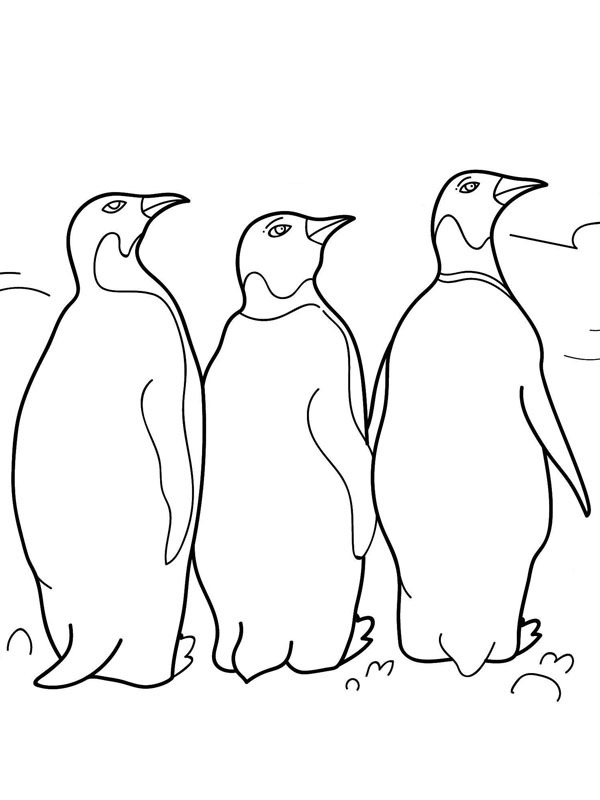 Tučňáci omalovánka