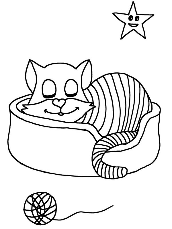 Kočka v koši omalovánka