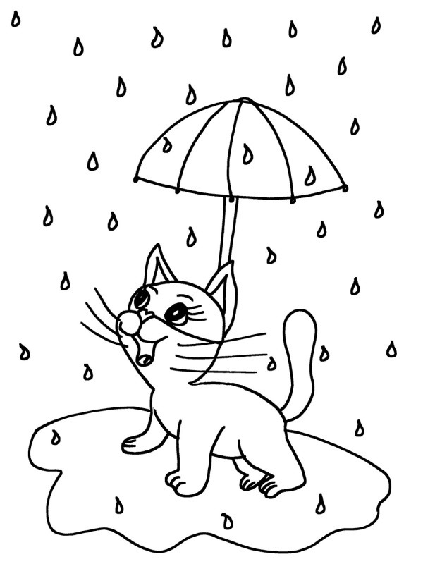 Kočka v dešti omalovánka