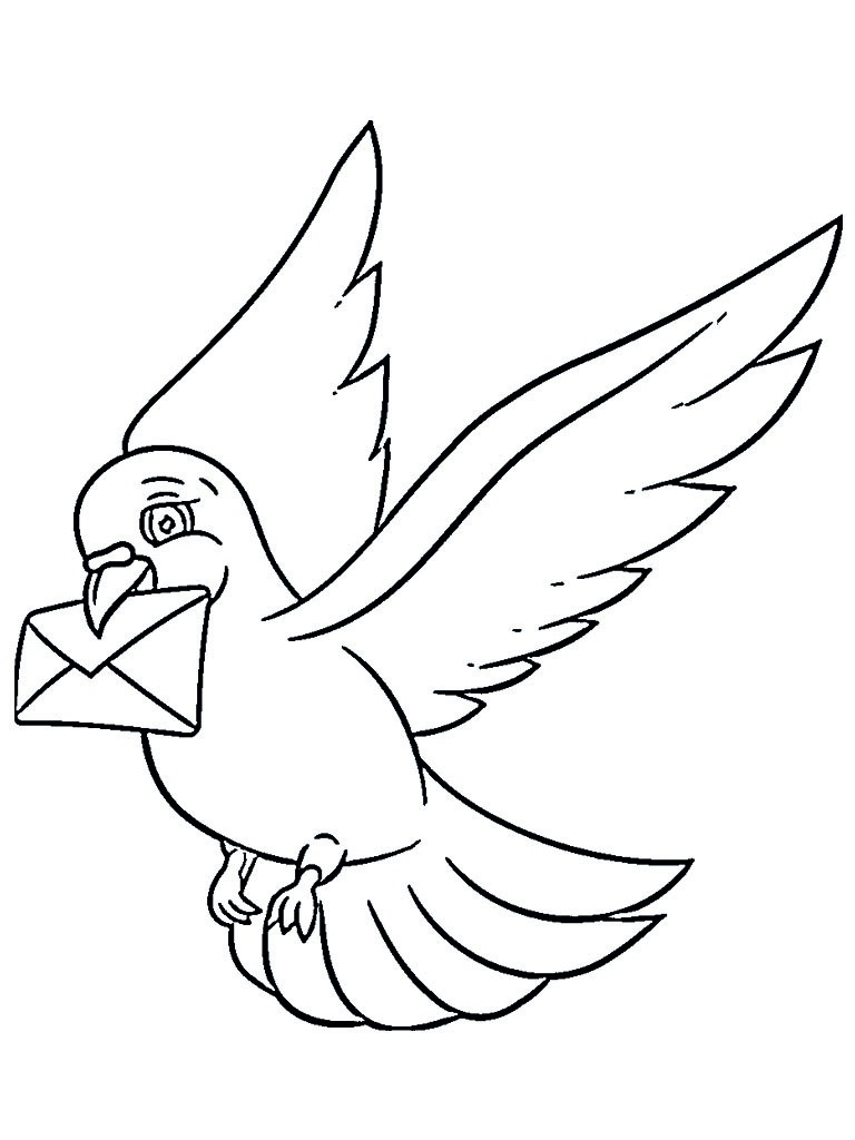 Poštovní holub omalovánka
