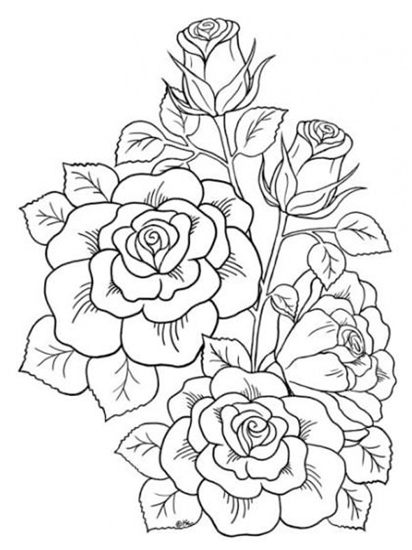 Růže tetování omalovánka