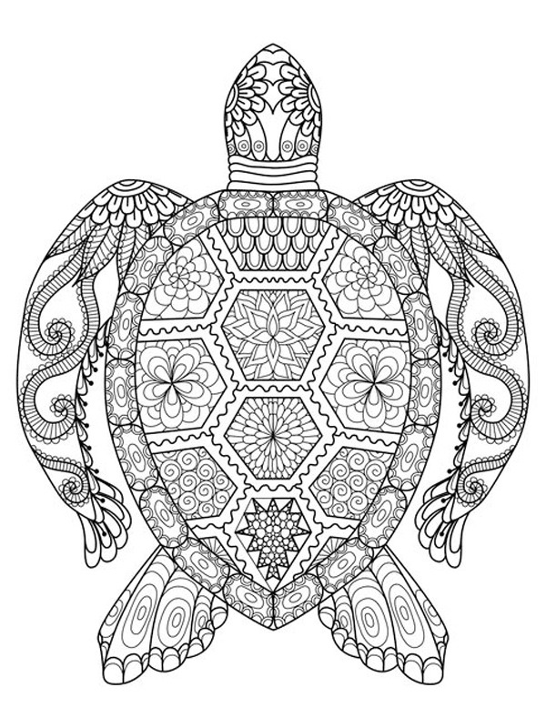 Želva mandala omalovánka