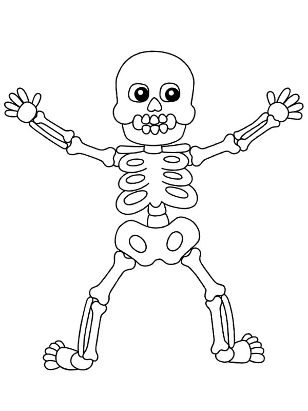 Lidská kostra Halloween omalovánka Lidská kostra Halloween omalovánka