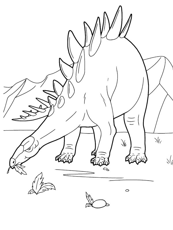 Stegosaurus omalovánka