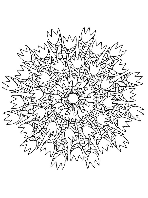 Mandala tulipánů omalovánka Mandala tulipánů omalovánka