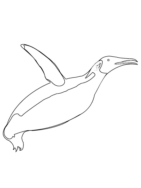 Létající tučňák omalovánka