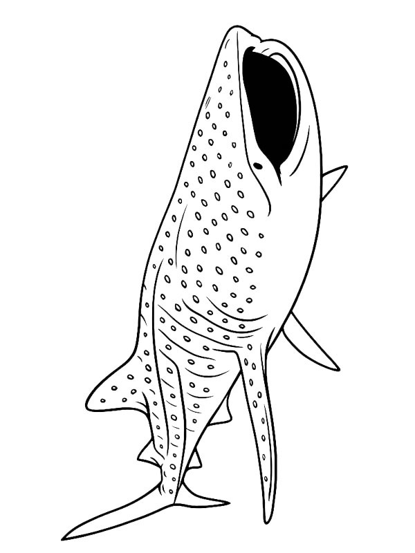 Žralok obrovsk&yacute; omalovánka